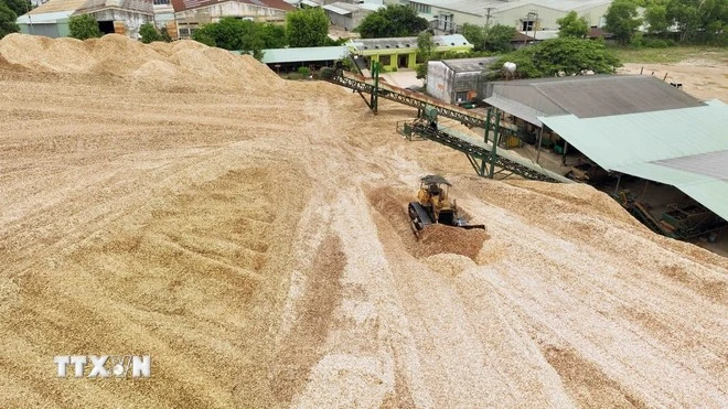 Mỗi năm, Công ty TNHH nguyên liệu giấy Quy Nhơn ở Khu công nghiệp Phú Tài, thành phố Quy Nhơn xuất khẩu hơn 170.000 tấn nguyên liệu gỗ sang thị trường Trung Quốc, Nhật Bản, đạt doanh thu 200 tỷ đồng.
