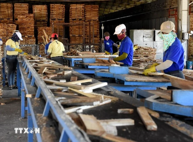 Nhà máy chế biến lâm sản và dăm gỗ nguyên liệu giấy Nhất Hưng tại huyện Trà Bồng tăng cường thêm nhóm ngành cưa, xẻ, bào gỗ và bảo quản gỗ để xuất khẩu sang châu Âu và tiêu thụ nội địa.