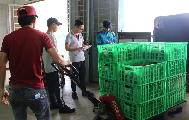 Siêu thị cấp tập vận chuyển rau từ Nam ra Bắc cho người dân bị ảnh hưởng do bão số 3 (ảnh tại MM Mega Market).