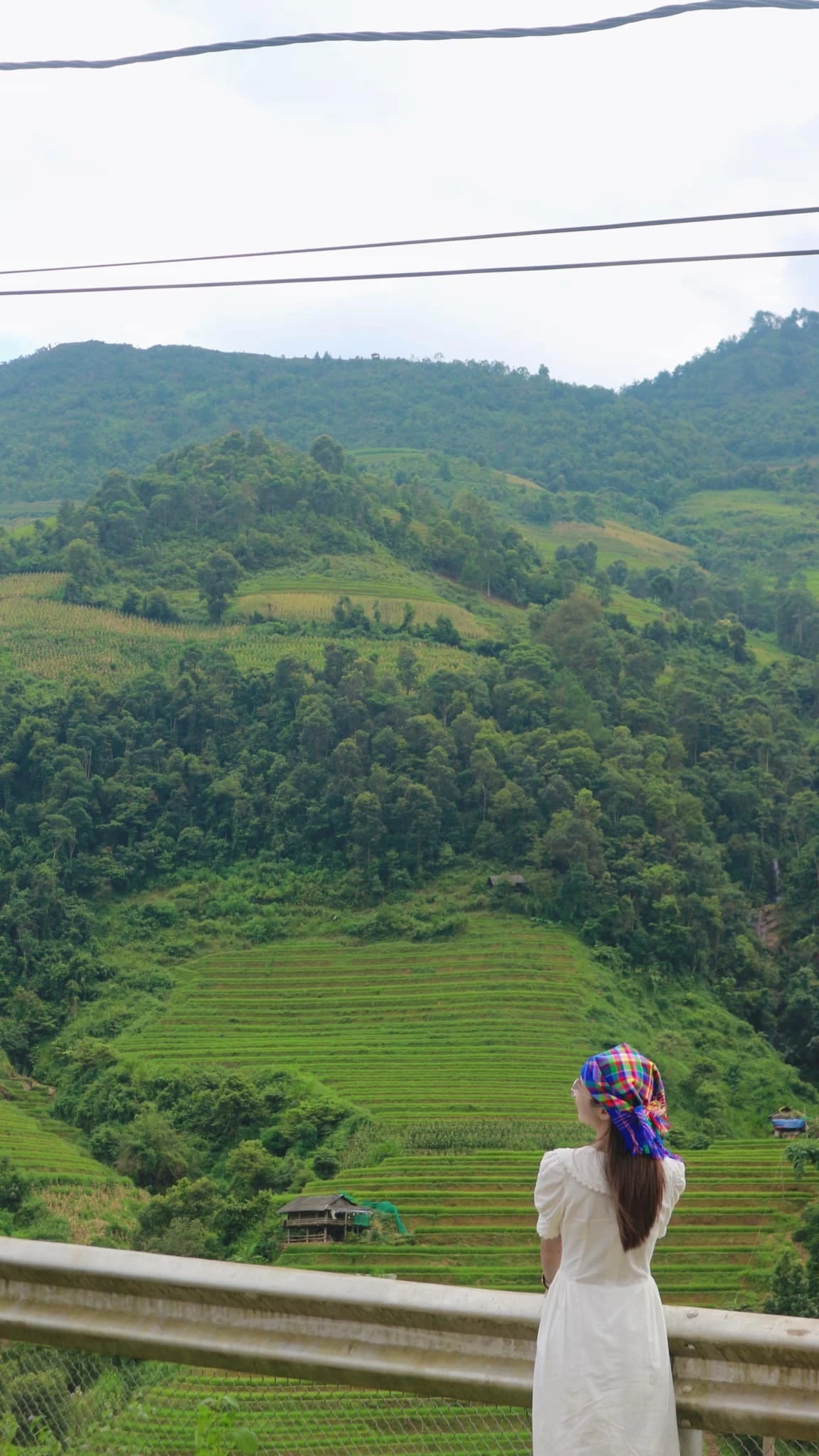 Thiên nhiên trong lành.