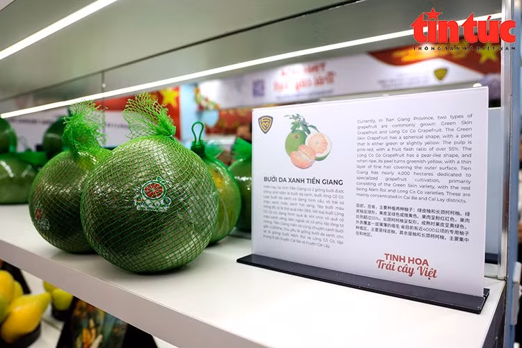 Nhiều sản phẩm trái cây được giới thiệu có nguồn gốc rõ ràng, đạt chuẩn an toàn thực phẩm và tiềm năng xuất khẩu.