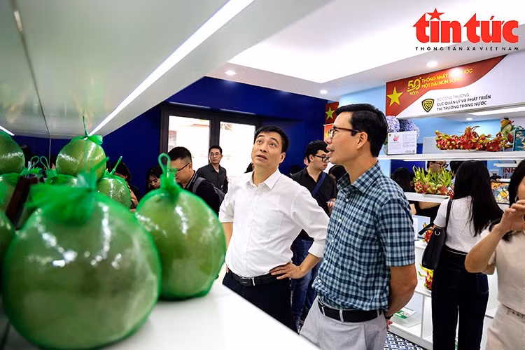 Các loại hoa quả chủ lực của nông sản Việt Nam được trưng bày tại sự kiện.