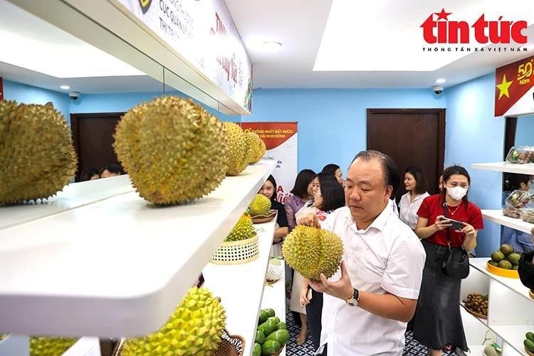 Ông Trần Hữu Linh, Cục trưởng Cục Quản lý và Phát triển thị trường trong nước chia sẻ về các sản phẩm trái cây Việt.