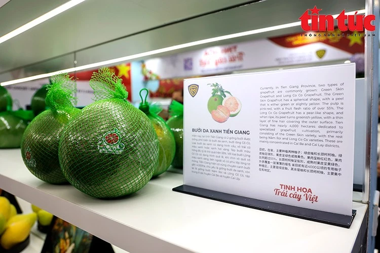 Nhiều sản phẩm trái cây được giới thiệu có nguồn gốc rõ ràng, đạt chuẩn an toàn thực phẩm và tiềm năng xuất khẩu.