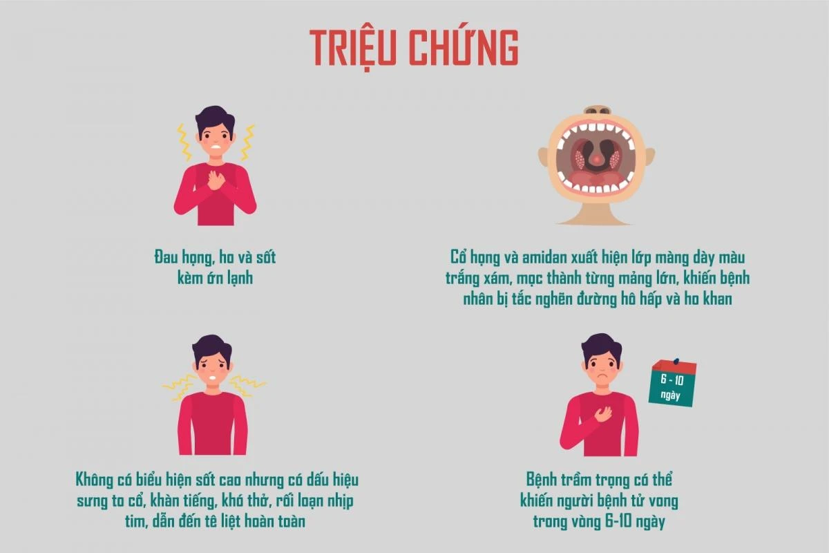 Các triệu chứng của bệnh bạch hầu.