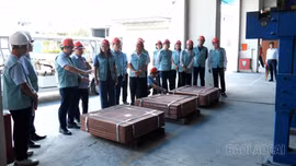Đoàn Đại biểu Quốc hội tỉnh Lào Cai giám sát việc thực hiện chính sách về điện lực tại các doanh nghiệp
