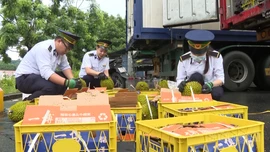 Xuất khẩu sầu riêng qua cửa khẩu Lào Cai tăng gấp 26 lần
