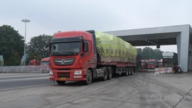 Lào Cai bảo đảm thông quan thuận lợi nông sản nhập khẩu