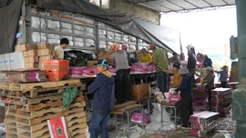 Lao động tự do cửa khẩu: Tăng thu nhập từ những chuyến hàng nông sản xuất khẩu ngày Tết