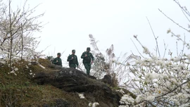 Mùa xuân trên điểm tiền tiêu