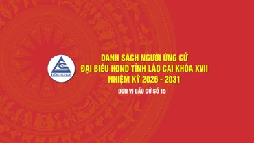 [Infographic] Tiểu sử tóm tắt những người ứng cử đại biểu HĐND tỉnh Lào Cai khóa XVII, nhiệm kỳ 2026 - 2031 (Đơn vị bầu cử số 15)