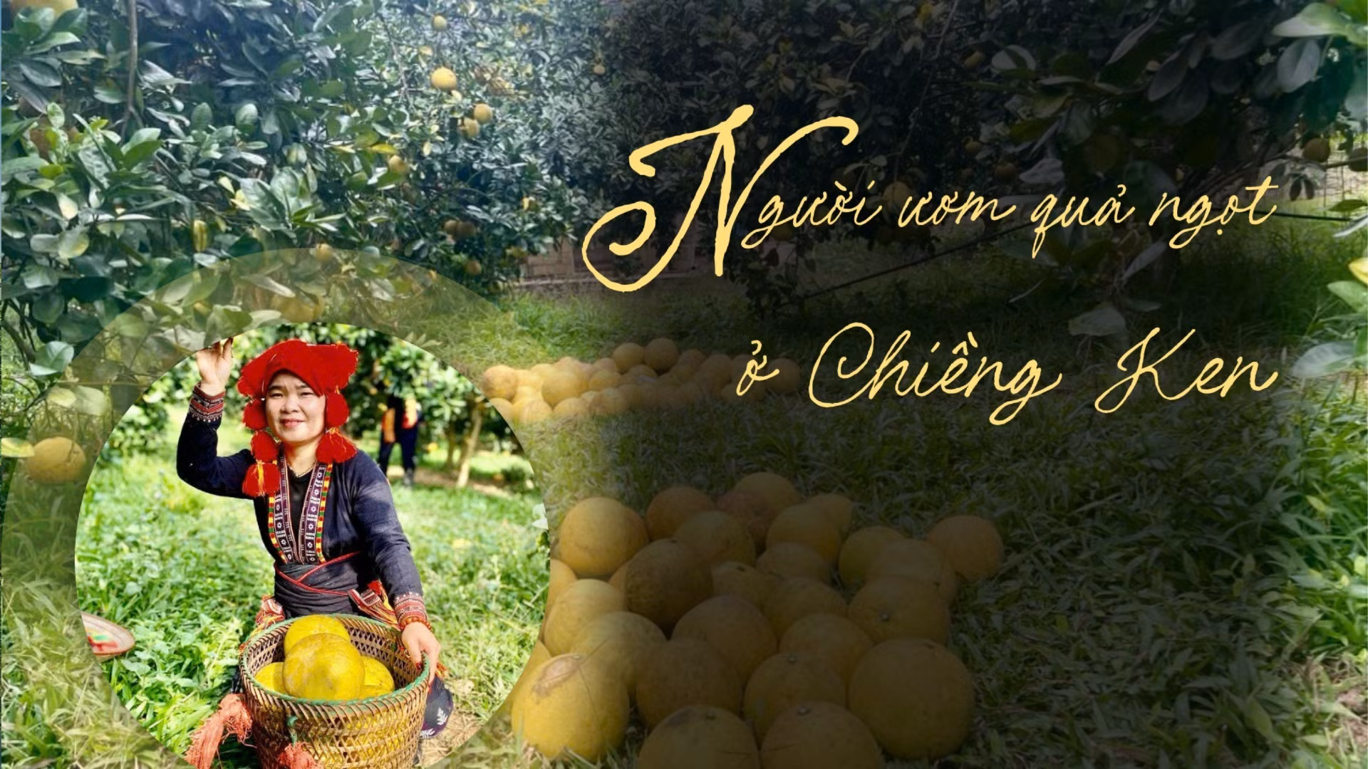 Người ươm quả ngọt ở Chiềng Ken