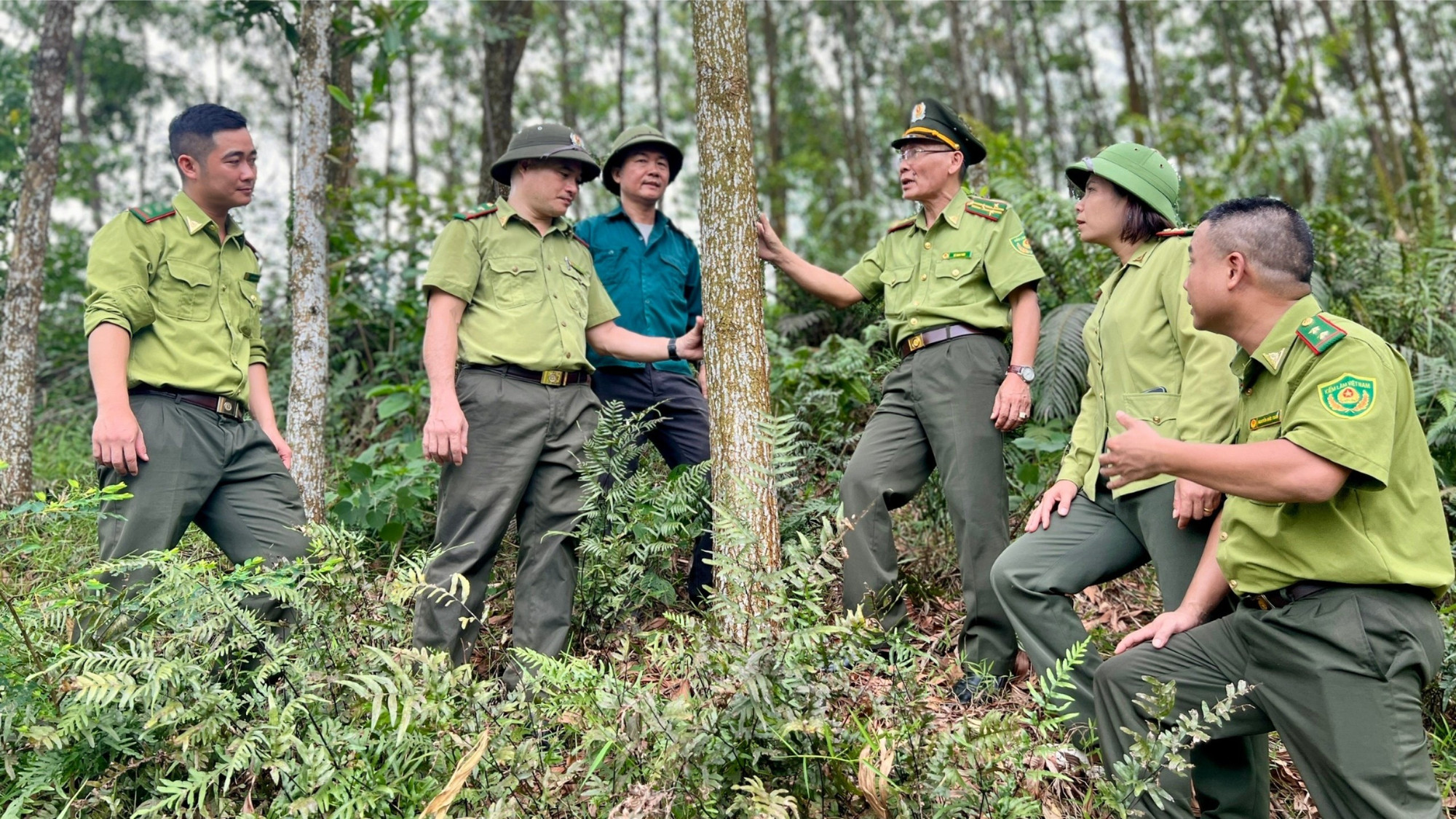 Để những cánh rừng mãi xanh