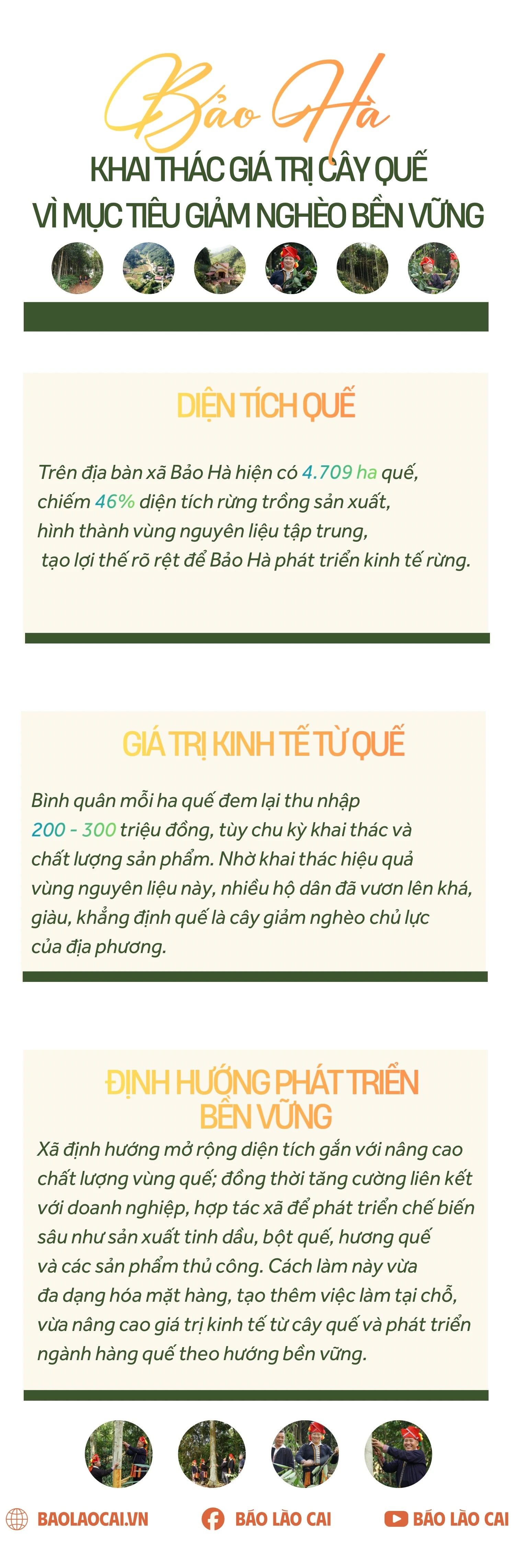 khai-thac-gia-tri-cay-que.jpg