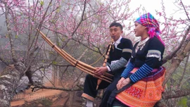 [Ảnh] Xuân về trên rẻo cao Tà Xi Láng