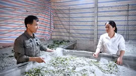 Quy Mông nhân rộng gương người tốt, mô hình điển hình tiên tiến