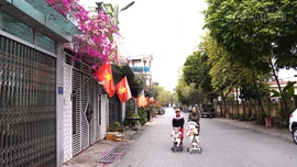 Nhiều hoạt động chào đón Xuân Bính Ngọ 2026