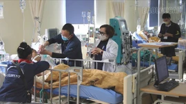 Bệnh viện Đa khoa số 1 khám trung bình 810 lượt bệnh nhân/ngày