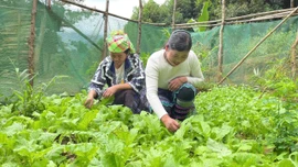 Chung sức vì mục tiêu giảm nghèo đa chiều, bền vững