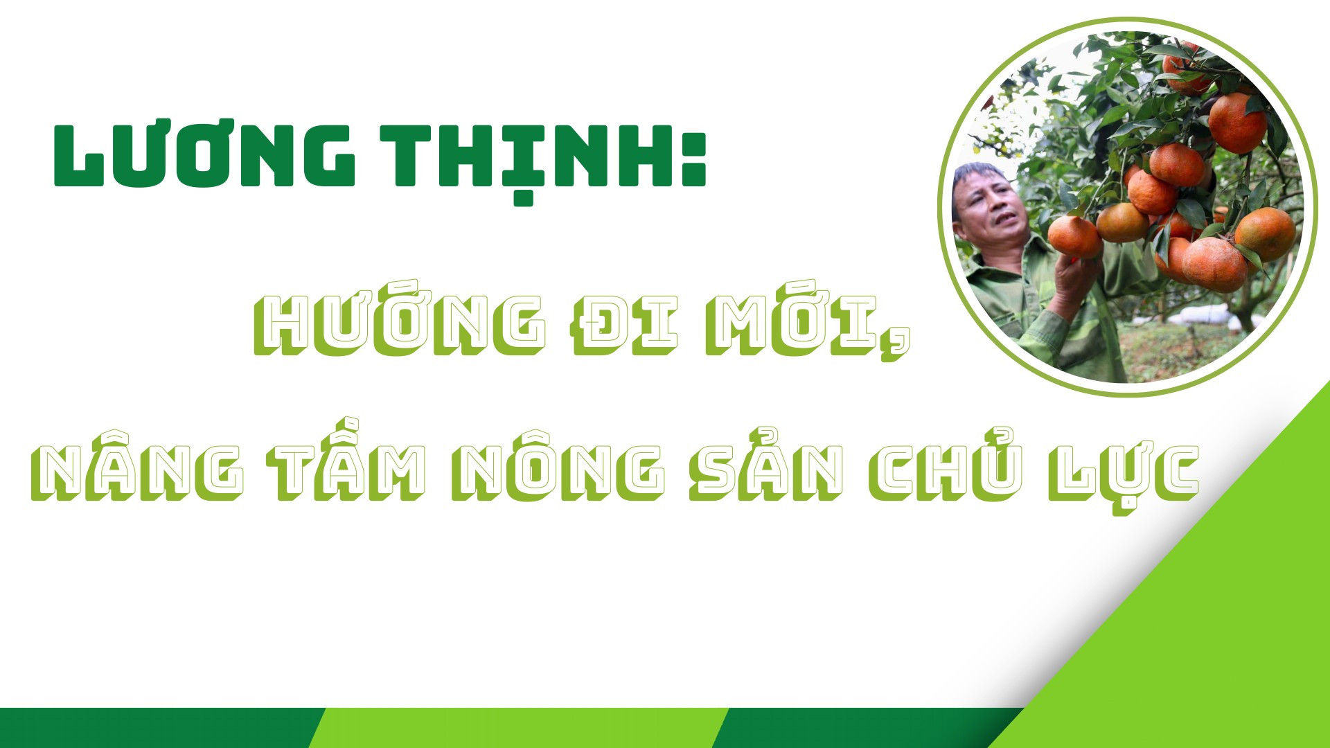 Lương Thịnh: Hướng đi mới, nâng tầm nông sản chủ lực
