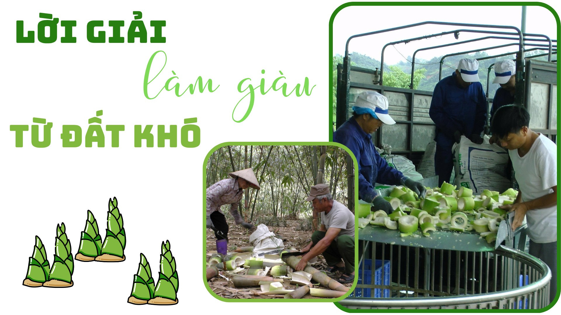 Lời giải làm giàu từ đất khó