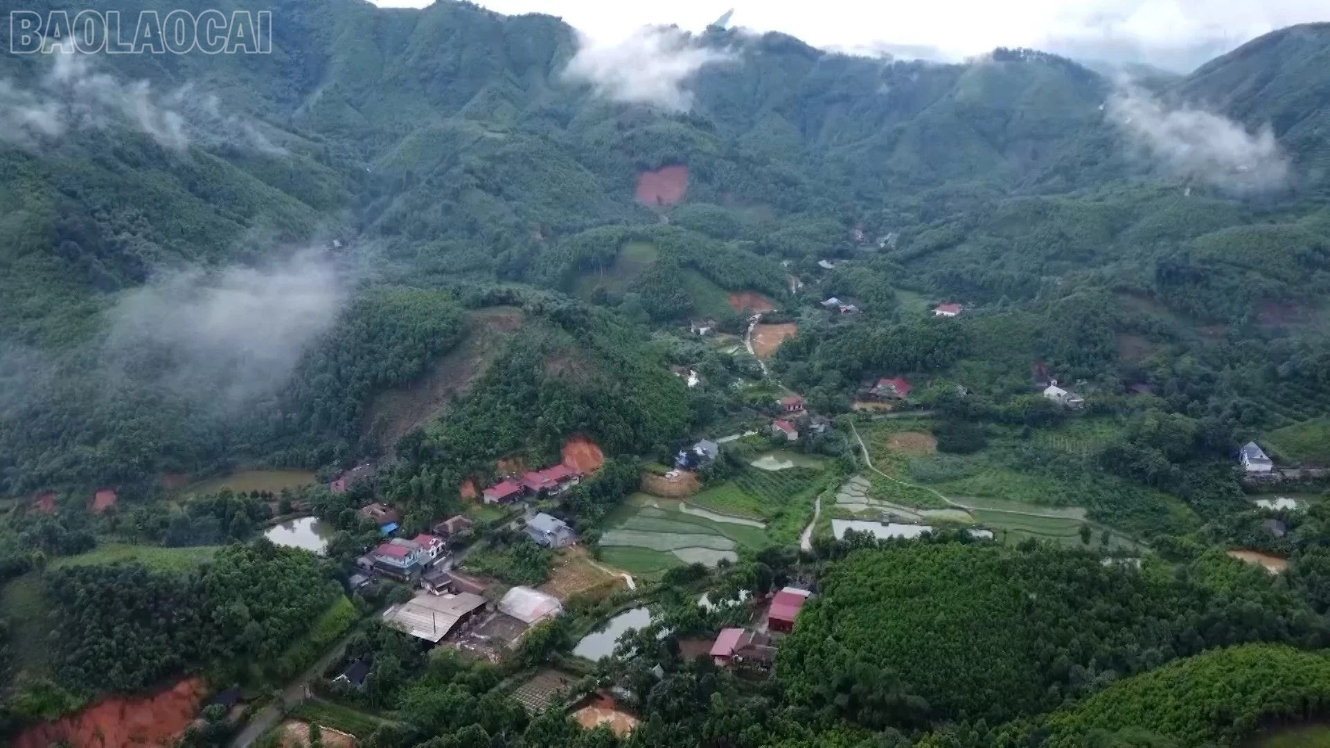 baolaocai-tl_phong-trao-thi-dua-2.jpg