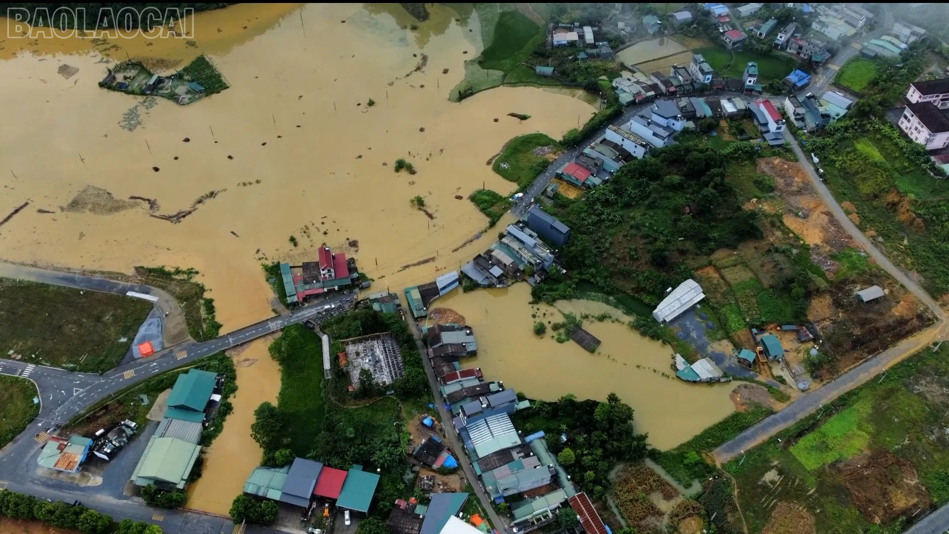 baolaocai-tl_sat-lo-10.jpg