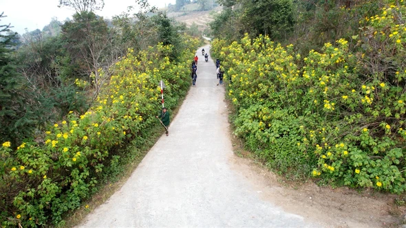 Đường hoa mang khát vọng đổi thay