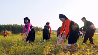 Yen Bai Leverages the Cultural Heritage of Ethnic Communities for Tourism Development