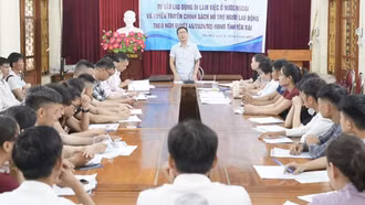 The Department of Home Affairs regularly organizes labor counseling conferences for overseas employment.
