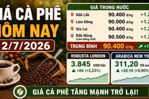Giá cà phê hôm nay 2/7 tăng mạnh, Robusta và Arabica cùng bứt phá