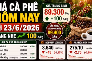 Giá cà phê hôm nay 23/6: Nhích nhẹ sau phiên giảm sâu