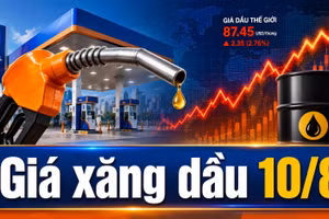 Giá xăng dầu hôm nay 10/8/2026: Dầu thế giới tăng phiên đầu tuần