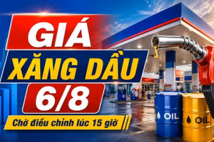 Giá xăng dầu hôm nay 6/8/2026: Chờ điều chỉnh mới lúc 15 giờ