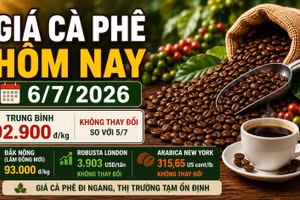 Giá cà phê hôm nay 6/7: Tây Nguyên đi ngang, chờ thay đổi tuần mới