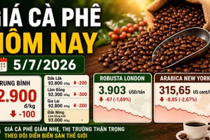 Giá cà phê hôm nay 5/7: Giảm nhẹ, Robusta London đỏ sàn