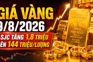 Giá vàng hôm nay 9/8: SJC tăng mạnh, thế giới giữ trên 4.300 USD