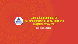 [Infographic] Tiểu sử tóm tắt những người ứng cử đại biểu HĐND tỉnh Lào Cai khóa XVII, nhiệm kỳ 2026 - 2031 (Đơn vị bầu cử số 12)