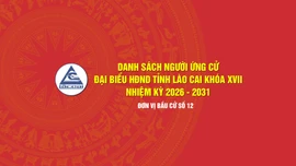 [Infographic] Tiểu sử tóm tắt những người ứng cử đại biểu HĐND tỉnh Lào Cai khóa XVII, nhiệm kỳ 2026 - 2031 (Đơn vị bầu cử số 12)