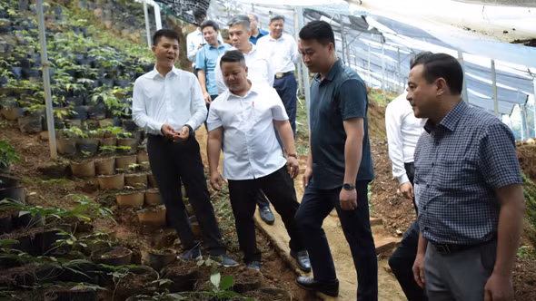 Phó Chủ tịch Thường trực Ủy ban MTTQ Việt Nam tỉnh Hà Đức Minh thăm các mô hình kinh tế, du lịch tại Mù Cang Chải