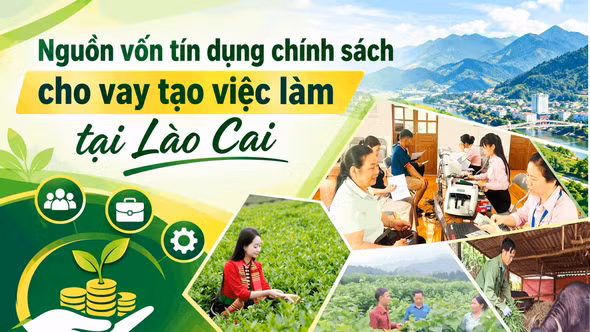 Nguồn vốn tín dụng chính sách cho vay tạo việc làm tại Lào Cai