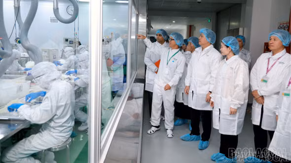 Đi để thấy rộng hơn