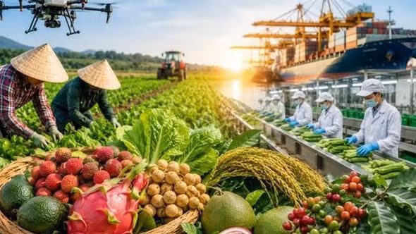 Chỉ đạo, điều hành của Chính phủ, Thủ tướng Chính phủ nổi bật tuần 10-16/10/2026