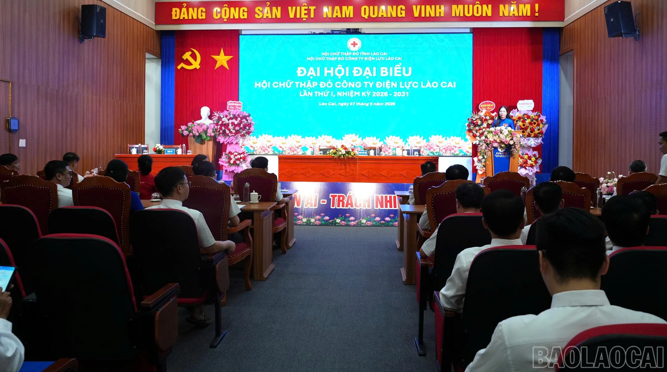 baolaocai-br_z7800998186597-2511cc4c996a521175fea6e6c7e1b9fa.jpg