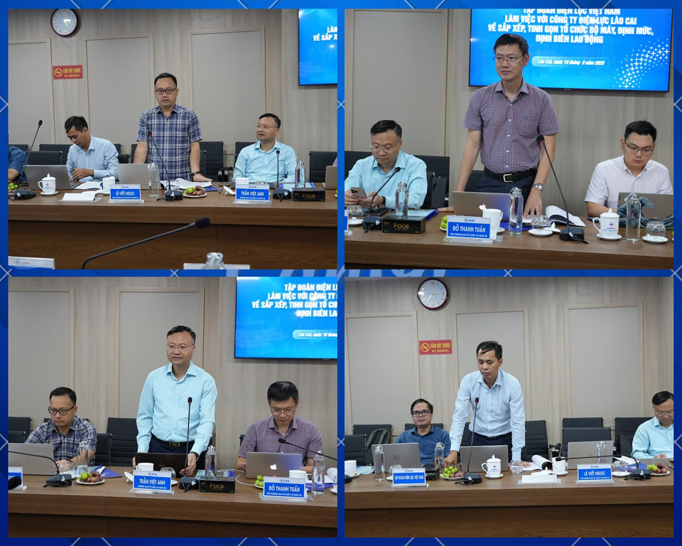 Các đại biểu phát biểu thảo luận tại buổi làm việc. 86.png