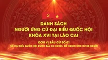 Danh sách chính thức những người ứng cử đại biểu Quốc hội khóa XVI tại tỉnh Lào Cai