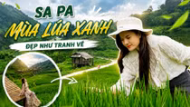 Sa Pa mùa lúa xanh: Cảm nhận sự bình yên giữa núi rừng Tây Bắc