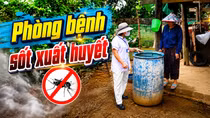 Mùa mưa chủ động phòng bệnh sốt xuất huyết