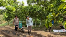 Xử lý nhiệt cho đất giúp Bát Xát sản xuất giống nông nghiệp chất lượng cao