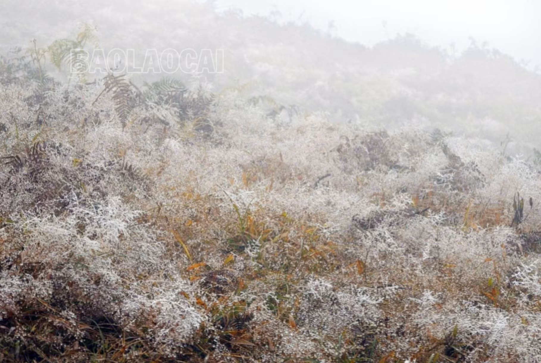 Băng tuyết phủ trắng đỉnh Lảo Thẩn